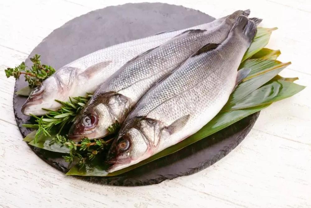 鲈鱼在我国的品种较多,有海鲈鱼,松江鲈鱼,七星鲈鱼和加州鲈鱼等,不管