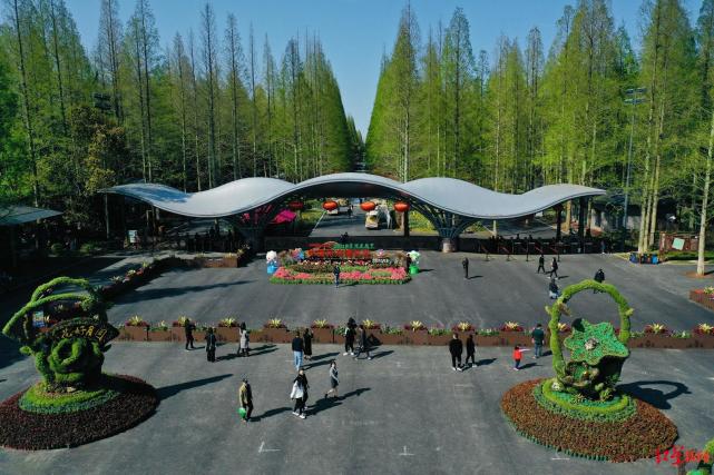 这座"海上花岛"将绚丽绽放|红星新闻|上海|花卉博览园|花博会|花博园