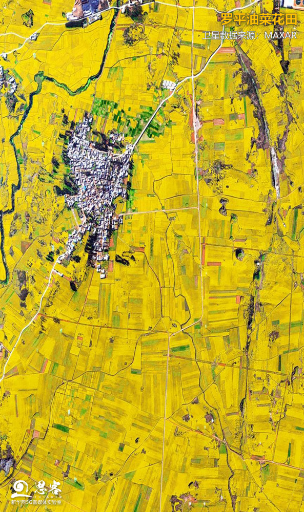 农田卫星地图图片