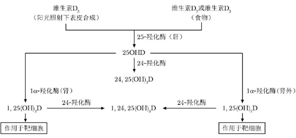 人体内80%