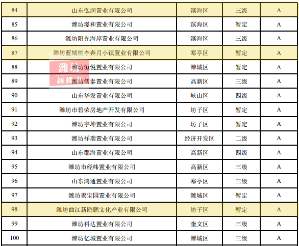 潍坊公司排名_潍坊京北方公司图片(2)