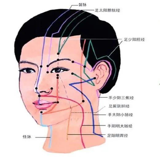 你瞭解面部經絡的走向情況嗎?