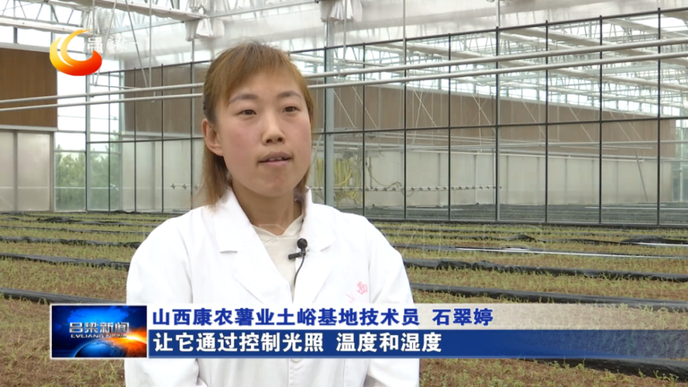 岚县:科技支撑助力春耕备耕_腾讯新闻