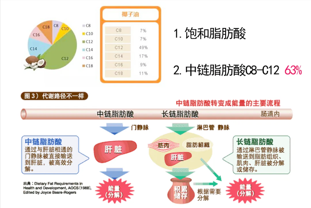 想快速入酮,一吃mct就拉肚子怎么办?如何避免mct拉肚子?_腾讯新闻