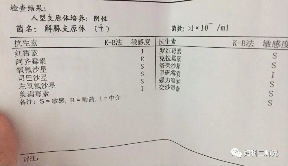 得了支原体怎么办 腾讯网