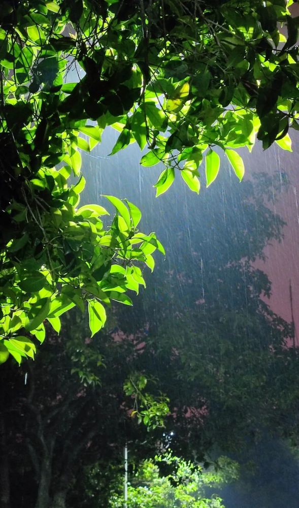 谁说下雨天不能拍出好看的图