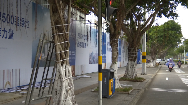 了彩灯不仅是路面上印着广告语一条非机动车道变身"广告牌"在海口市龙