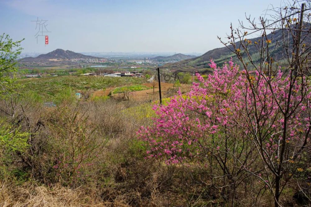 三岁妹妹爬山记 石家庄曾是北方教育中心 还与北岳渊源颇深 腾讯新闻