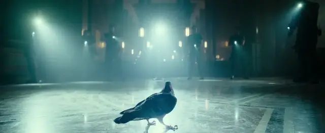 终于来了一部爽爽爽爽爽片