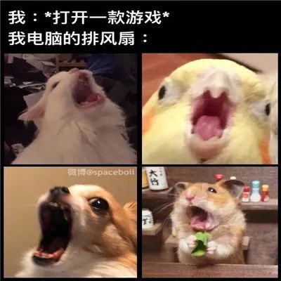 表情包我们一起打疫苗一起苗苗苗苗苗