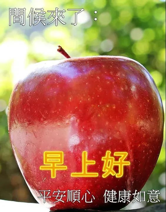 6月17日周四最新早上好问候动态表情图片暖心早上好图片表情祝福语录