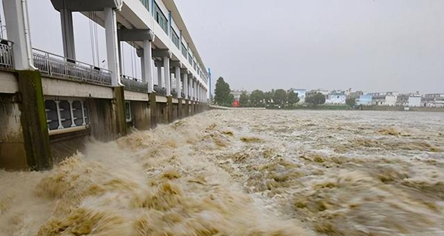 1975年板桥水库溃败,上百公里大树被灾民压弯,满山都是死雀
