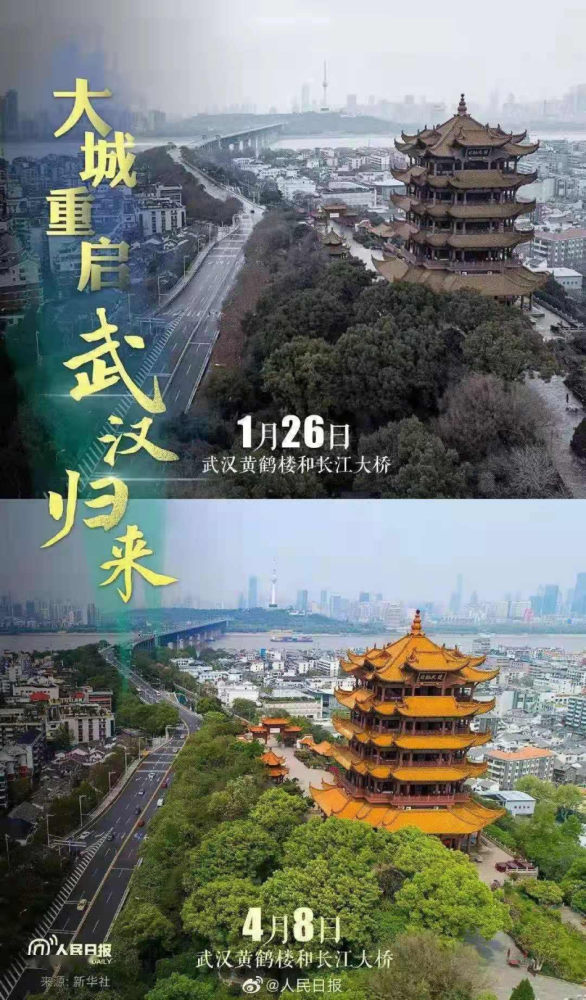 武汉解封一周年|樱花盛开时,与君再重逢