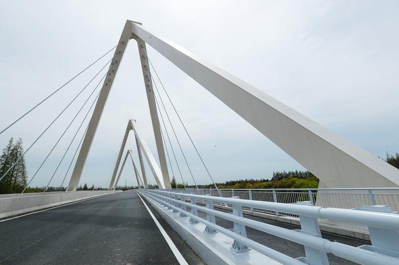 缓解陈海公路交通压力崇明生态大道生态眼双子桥建成