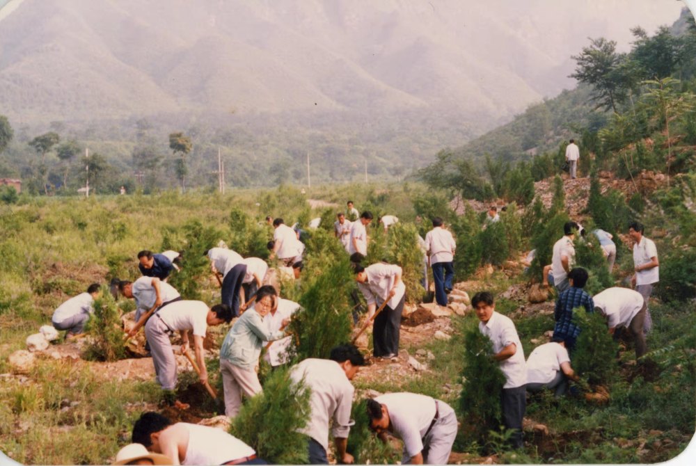 珍貴照片曝光,老輩兒人義務植樹的場面感人至深_騰訊新聞