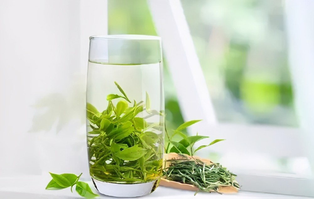 新茶界每日分享茶叶的未来在中老年