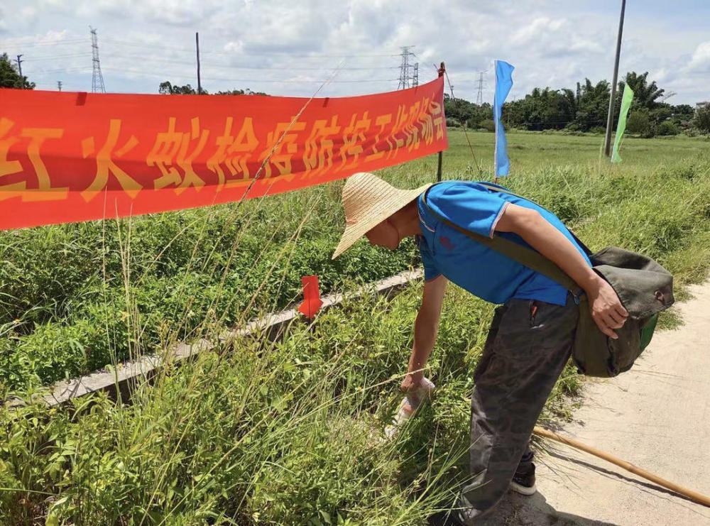 国家铁路局,国家邮政局九部门联合印发《关于加强红火蚁阻截防控工作