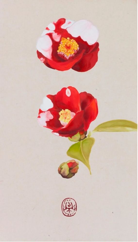 ♣︎g/43 岩田壮平 画集 『 cycle 』 大型本