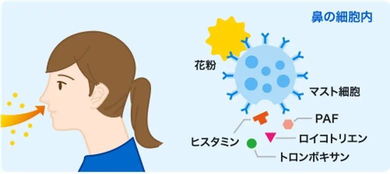 日本留学生活篇 春天来了 你花粉症了吗 腾讯新闻