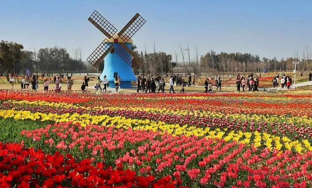 在泉州台商投资区,百崎湖边,洛阳江畔,占地4000多亩的海丝生态公园分