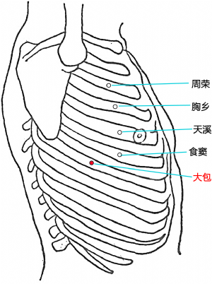 然后将双手心贴于双肋章门穴处,旋按36次;用双掌沿大包推至章门,然后