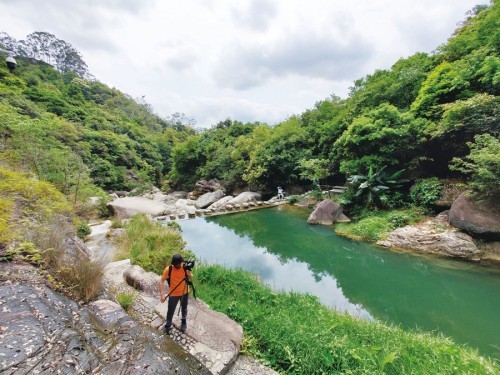 影像春日游莽莽象头山