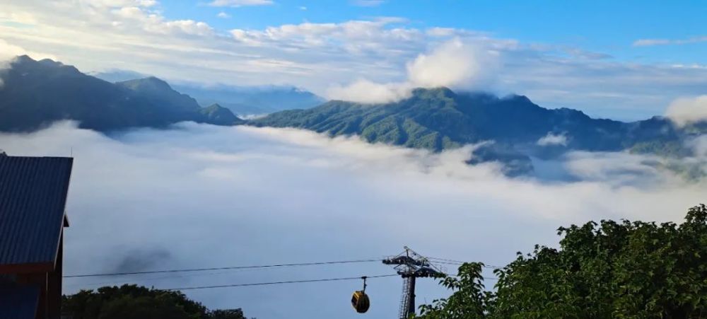 遊玩必看漢中龍頭山景區發佈重要公告