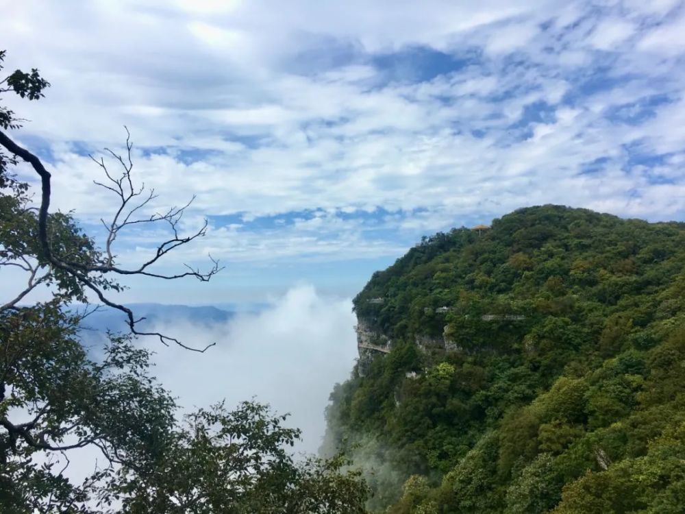 遊玩必看漢中龍頭山景區發佈重要公告