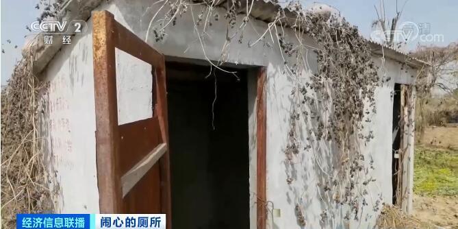 央視曝光河南農村改造 廁所成了廢棄的“擺設”