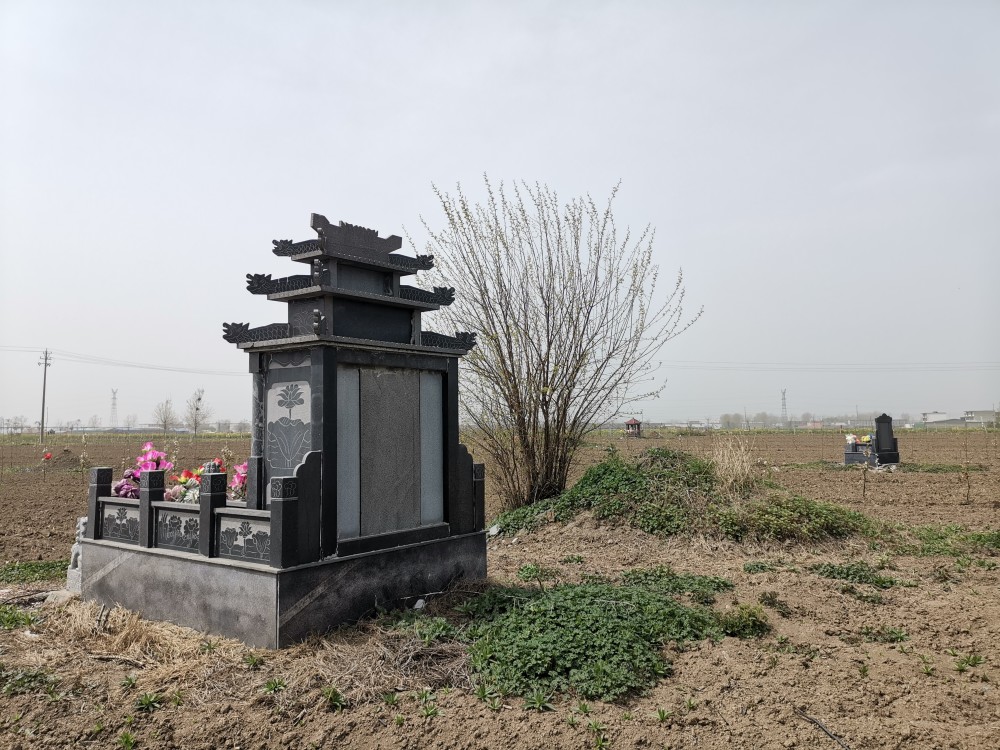 新华视点图文互动麦田长出豪华墓农村公益性墓地建设需有序推进