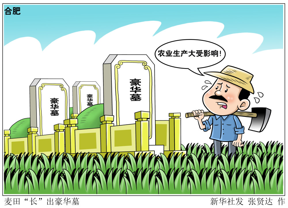 (图表·漫画)【新华视点】麦田"长"出豪华墓