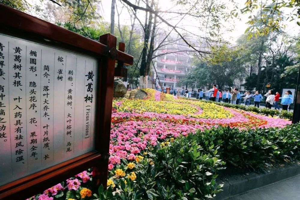 穿越时光,去看看双流中学的"前世今生"!