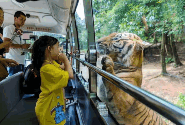 碧峰峽動物園對樂山市民免票啦還有成都融創樂園門票免費拿