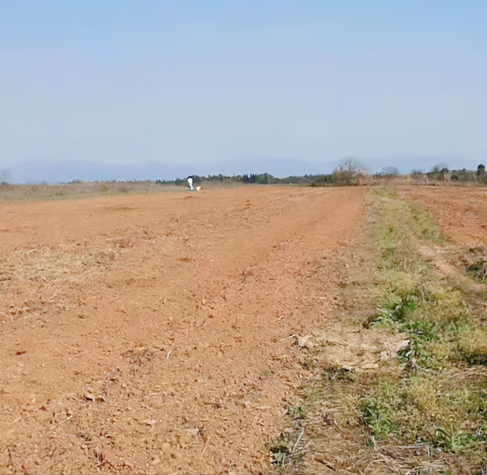 几百亩荒地有水源可以种玉米和水稻租金300元能承包吗