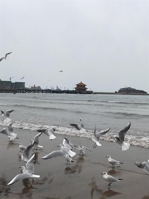 早年的青岛海边一瞥,童年的一点儿印象!