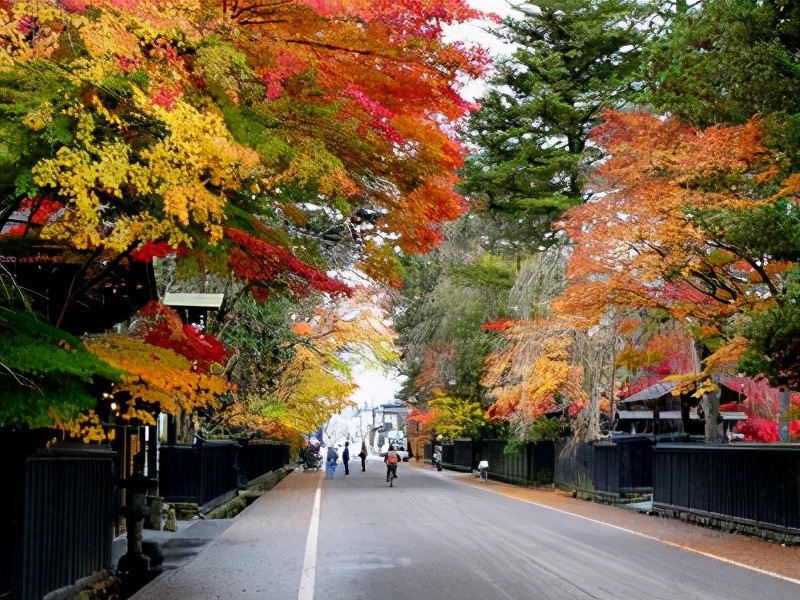 打卡绝美的秋田景点,少有游客涉足,景色壮丽令人屏息