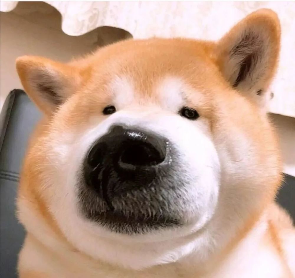 百看不厌的搞怪头像