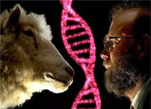 克隆羊已出现24年,为何至今没出现克隆人?专家:你看多莉咋死的