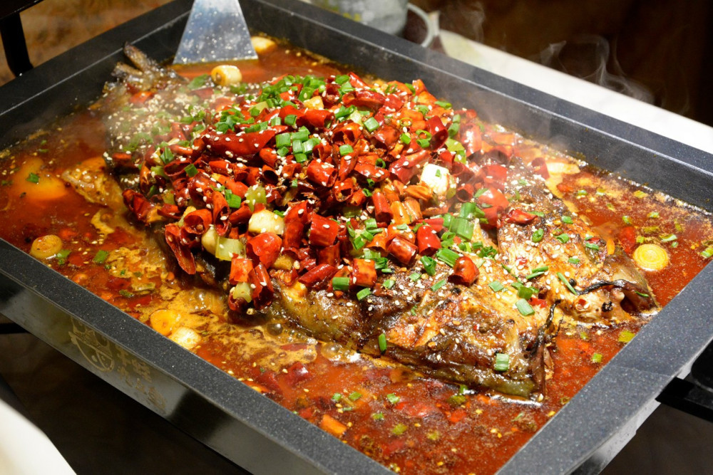 考古新发现贵州惊现244亿年前盘州暴鱼网友反映搞笑