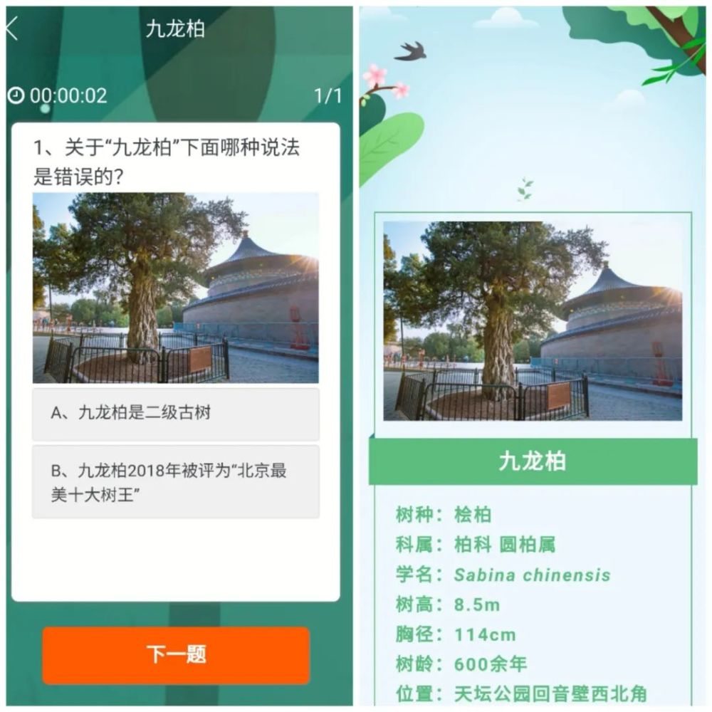 古树排行_12株“中国最美古树”图鉴