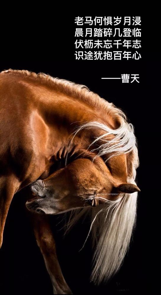 曹天中国当代最魔幻的诗人