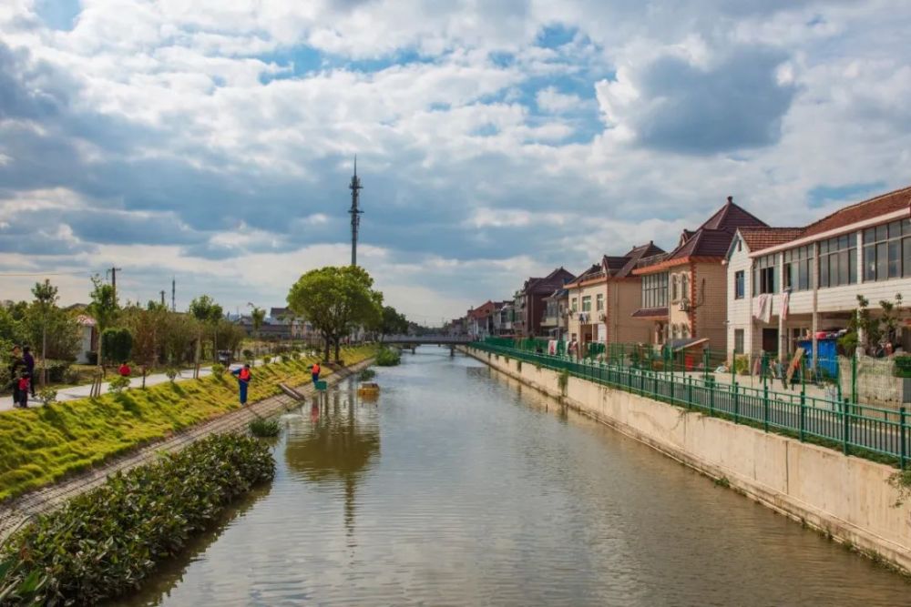 探索云赏宝山顾村河道之美