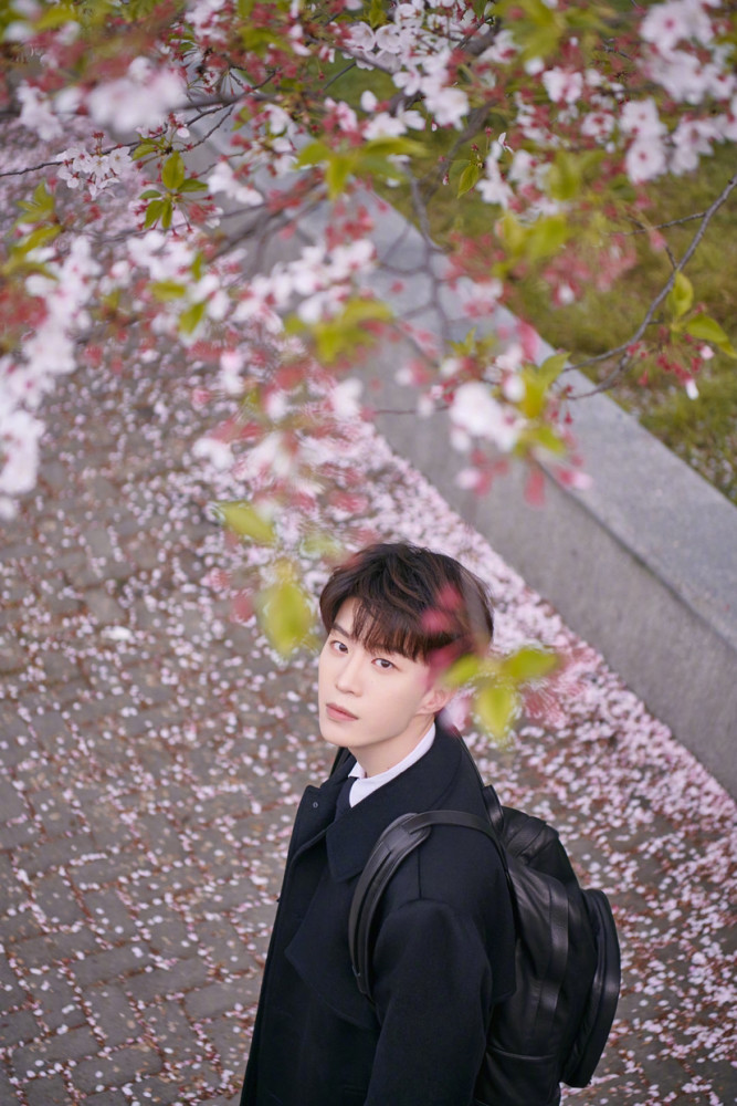 春日限定樱花少年范丞丞