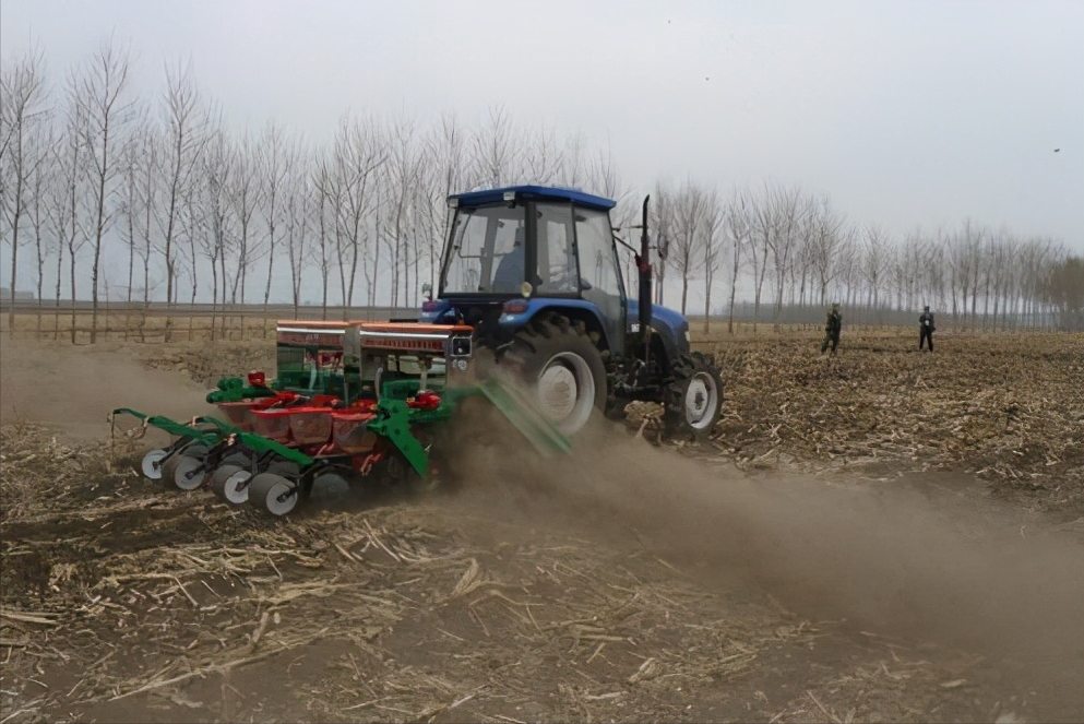 太扯了玉米免耕播种就高产