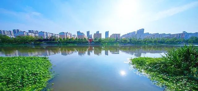 生态景观浮岛厂家电话