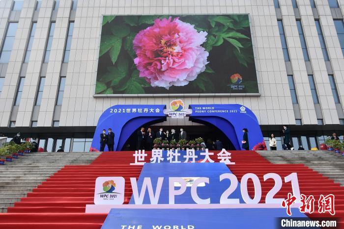 2021世界牡丹大会在菏泽开幕