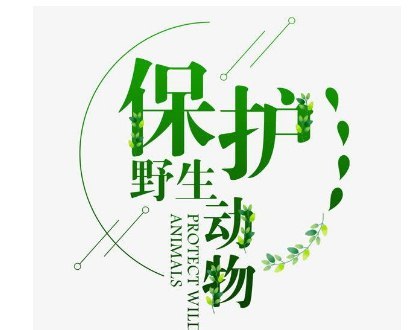 保护动物的宣传语简短唯美