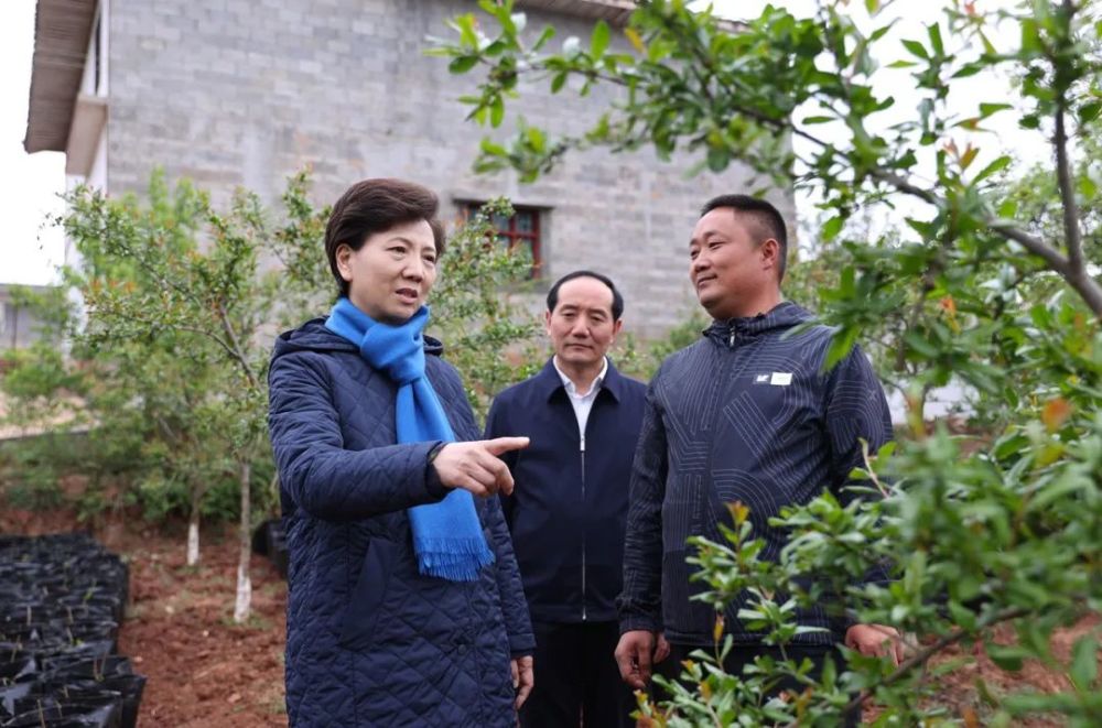 谌贻琴到毕节市威宁自治县调研