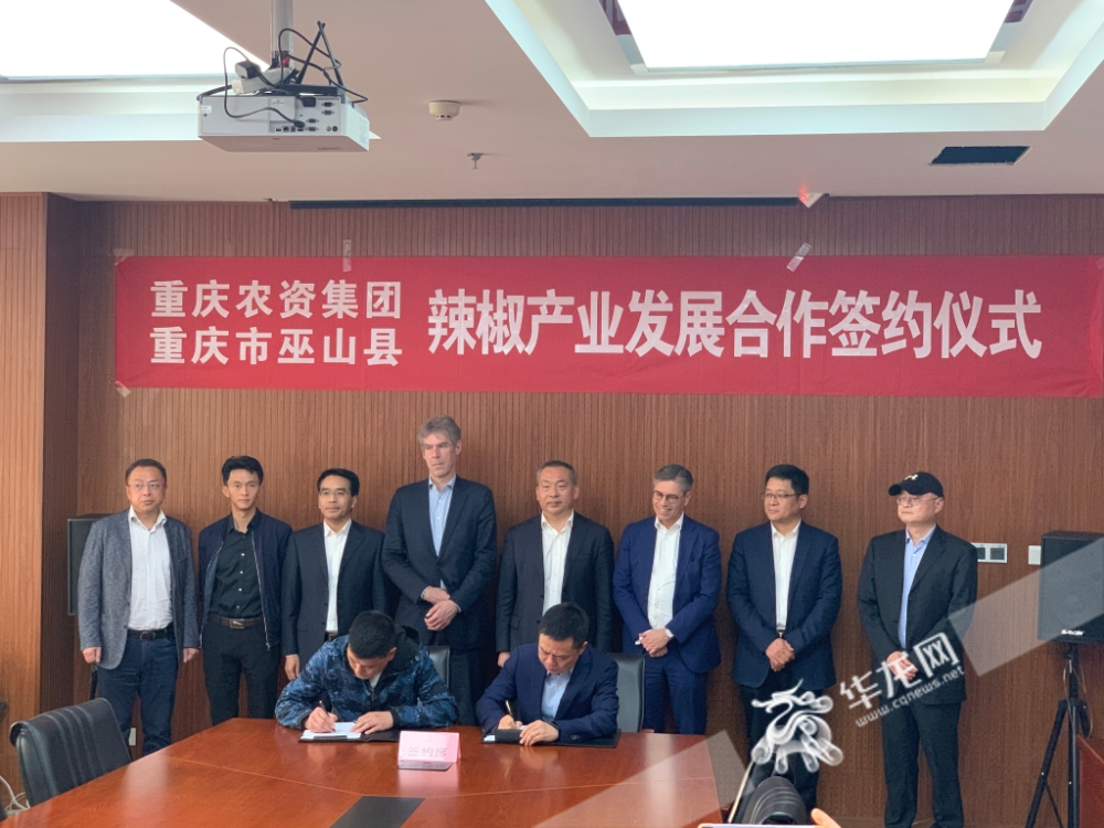 重庆农资集团与重庆巫山县签订辣椒产业发展合作协议 华龙网-新重庆