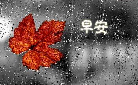 下雨天幽默正能量的說說句子 雨天激勵的話